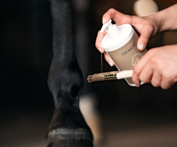 Hoof Oil Extra Care wird mit dem Pinsel auf einen schwarzen Pferdehuf aufgetragen