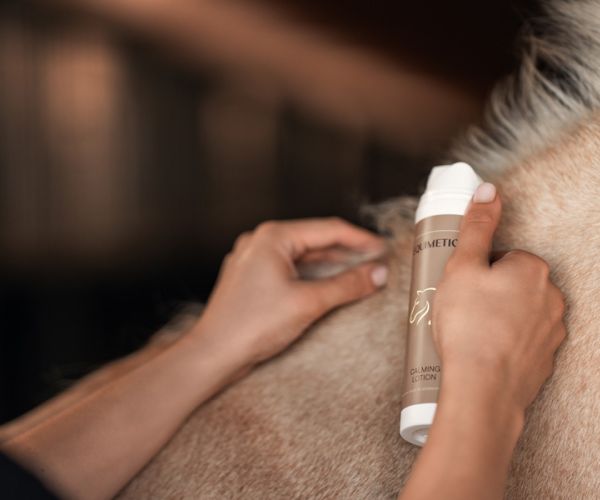 EQUIMETICS Calming Lotion wird in die helle Mähne eines Pferdes einmassiert