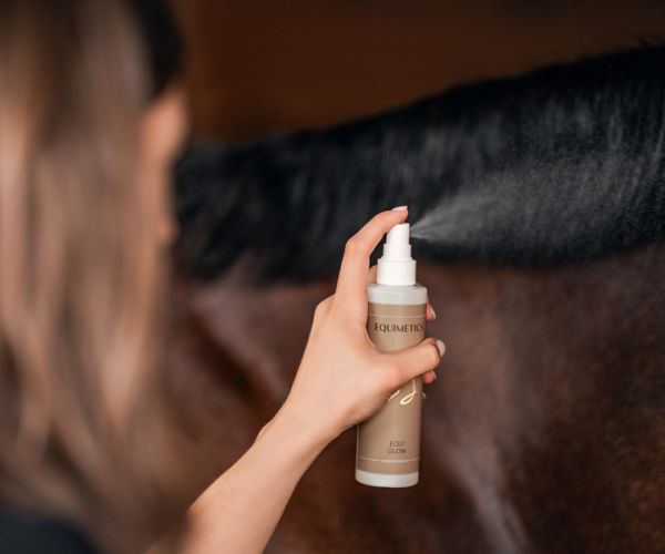 EQUIMETICS Equi Glow wird auf die Mähne eines dunklen Pferdes gesprüht