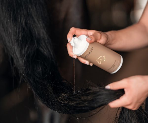 EQUIMETICS Shampoo & Care 2in1 wird ins nasse Langhaar eines Pferdes gegeben