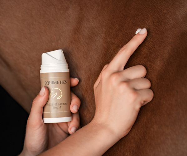 Regeneration Balm wird mit dem Finger auf das Fell eines braunen Pferdes getupft